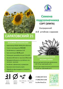 Название: Семена подсолнечника сорт "Саратовский 21 ЭЛИТА"
