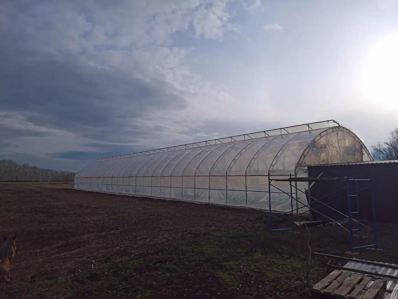 Как я строил теплицу?