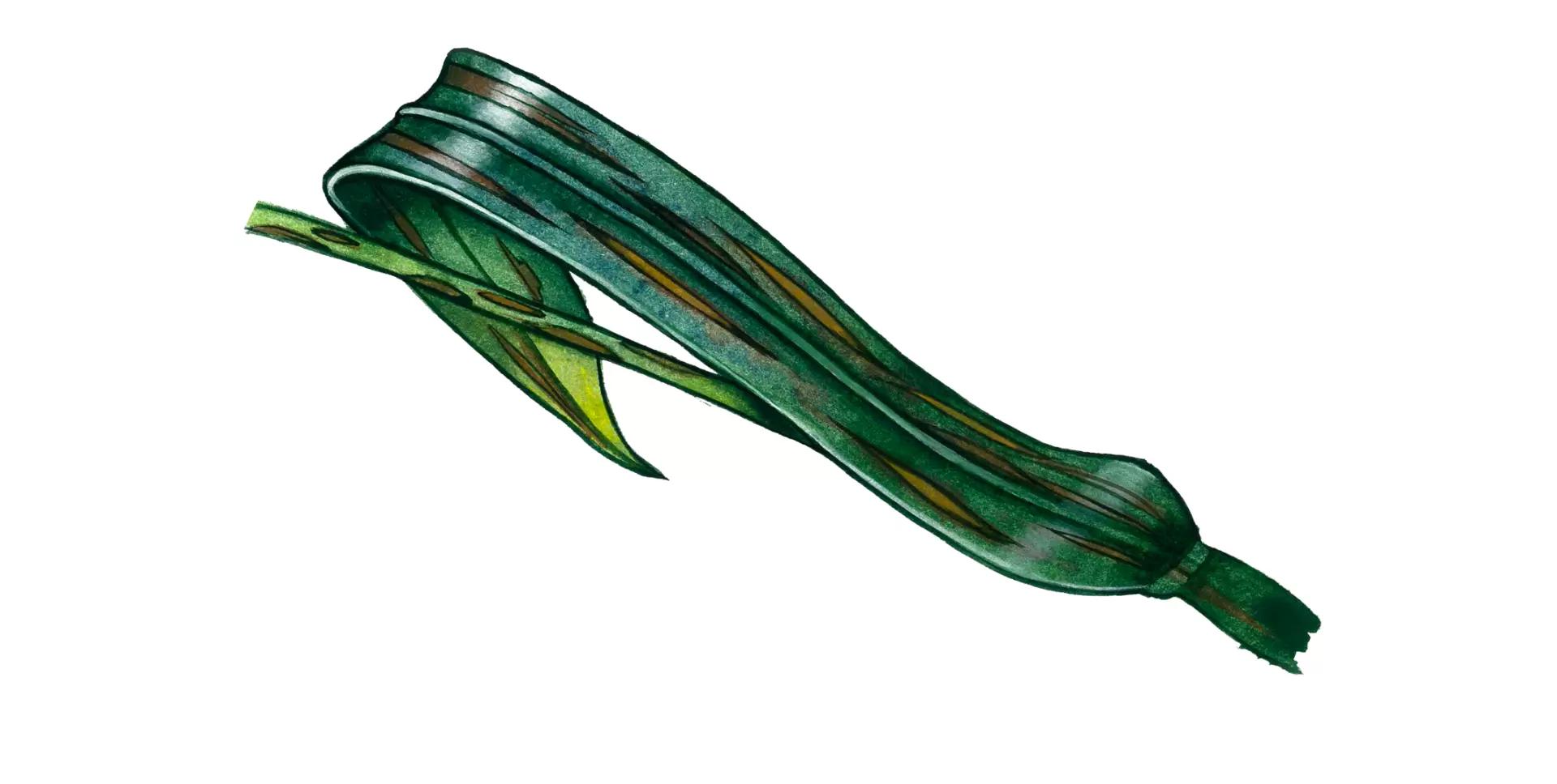 Бактериальная пятнистость листьев проса