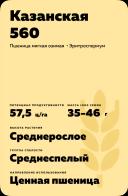 Казанская 560