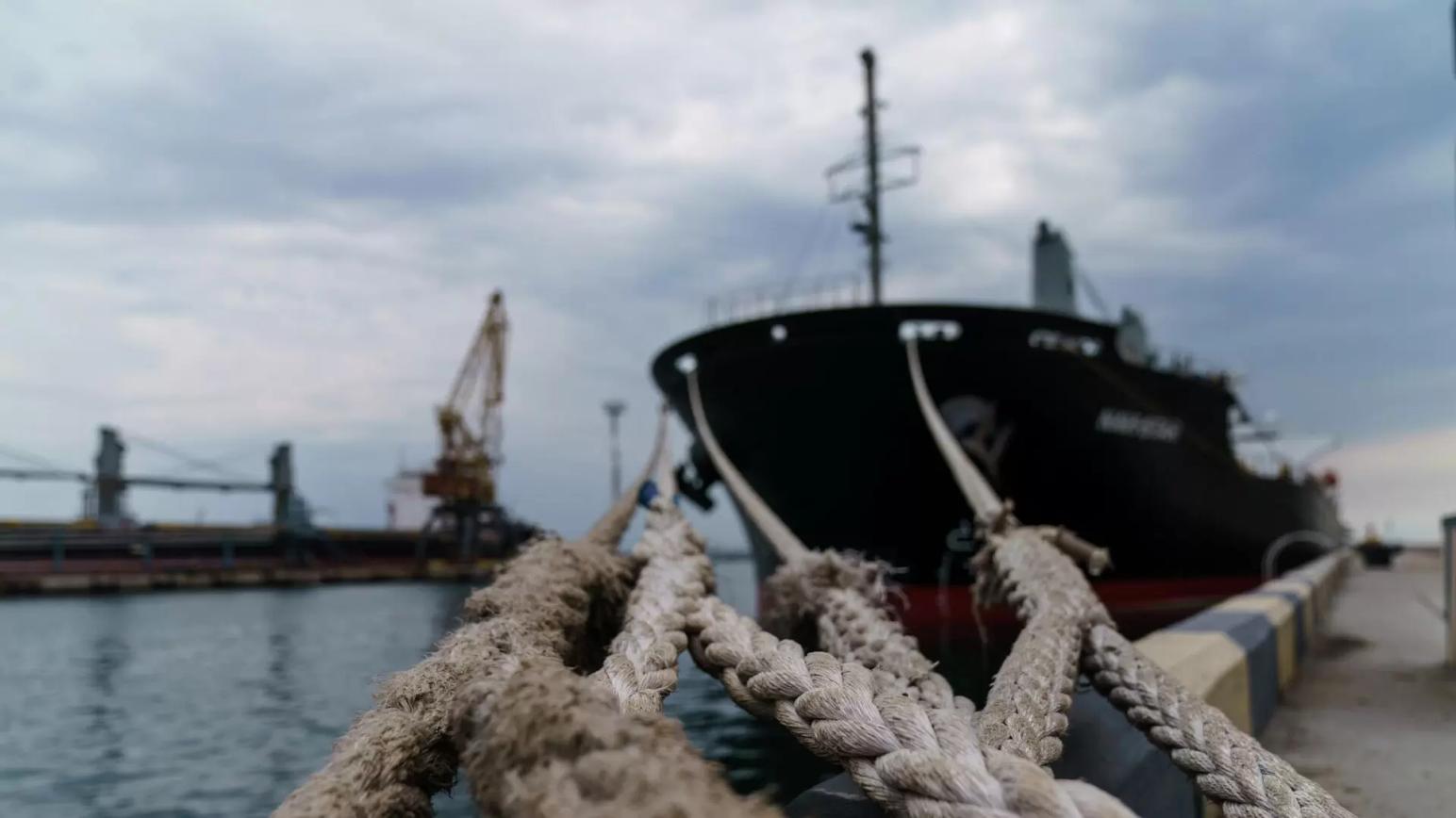 Зерновая сделка: на 600 судов из Украины вышло 1 судно из России с удобрениями