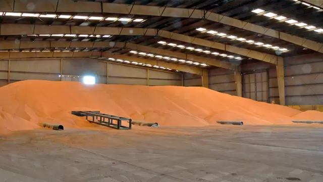 Аграриям напомнили о необходимости фумигации в борьбе с вредителями зерновых