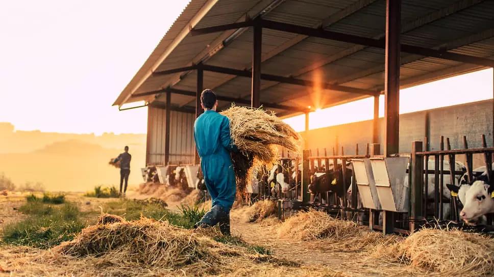 Нехватка кадров мешает развитию цифровизации в АПК