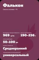 Фалькон F1 (FALCON)