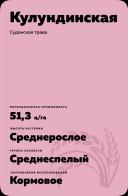 Кулундинская