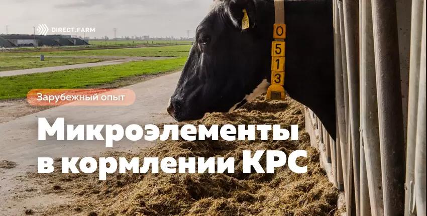Микроэлементы в кормлении молочного скота