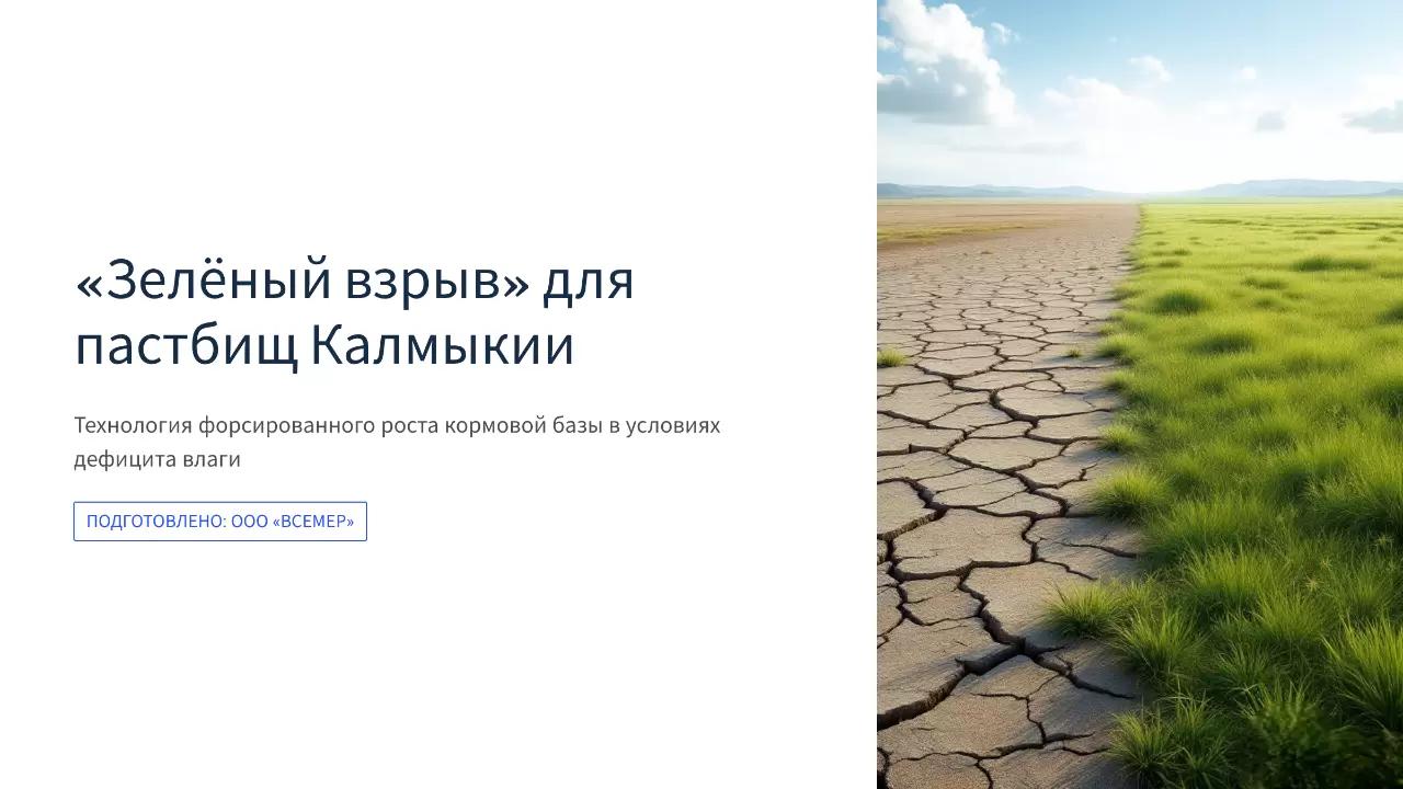 «Зелёный взрыв» для пастбищ Калмыкии