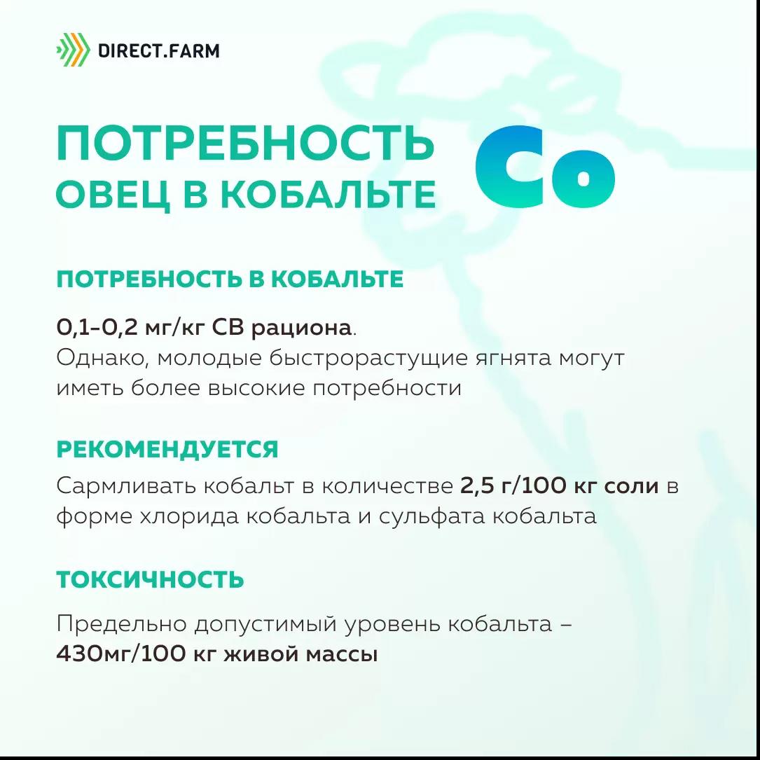 Потребность овец в кобальте