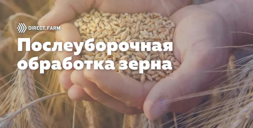 Послеуборочная обработка зерна и семян