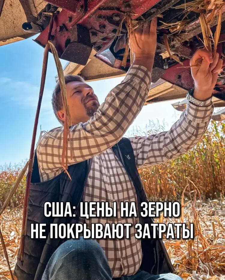 США: ЦЕНЫ НА ЗЕРНО НЕ ПОКРЫВАЮТ ЗАТРАТЫ