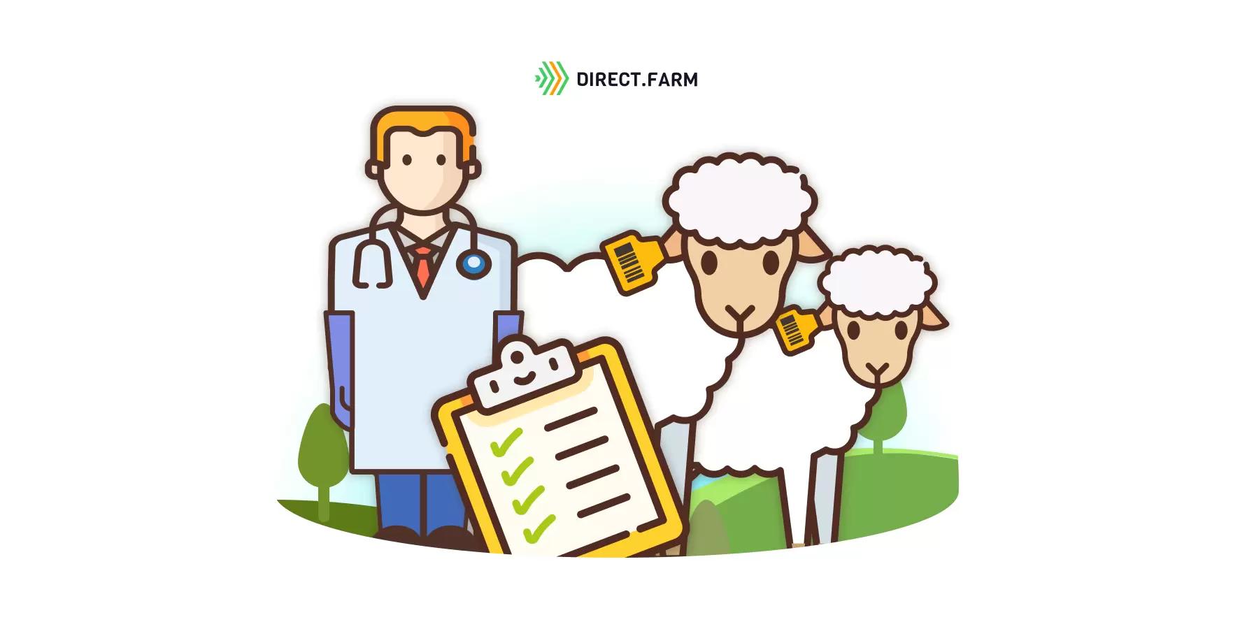 Маркирование животных. Биркование овец