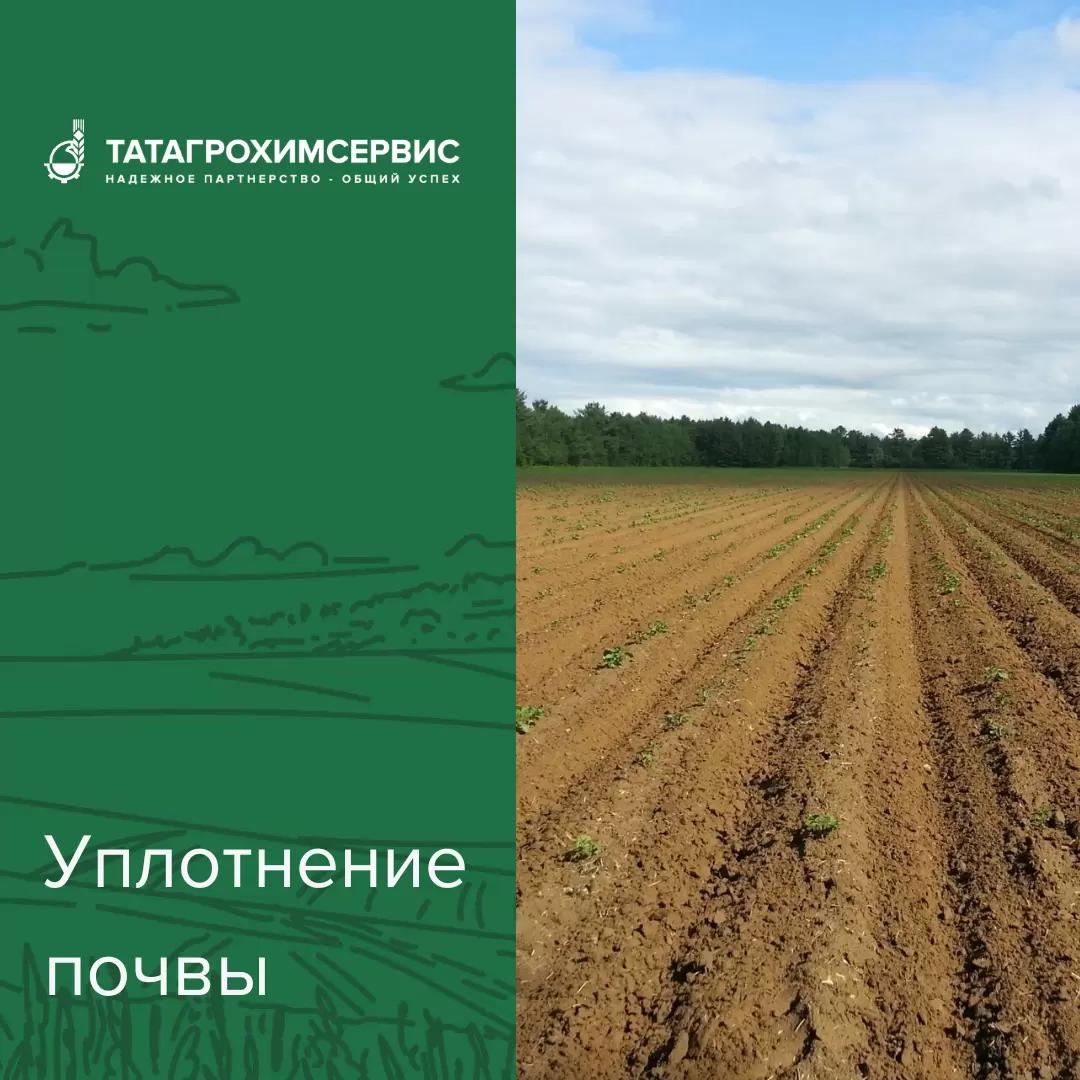 Уплотнение почвы