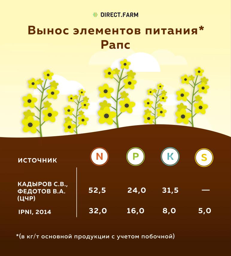 Вынос элементов питания рапсом