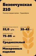 Безенчукская 210