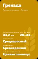 Гренада сорт мягкой яровой пшеницы