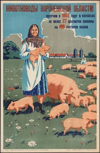 Подборка Советских плакатов по свиноводству