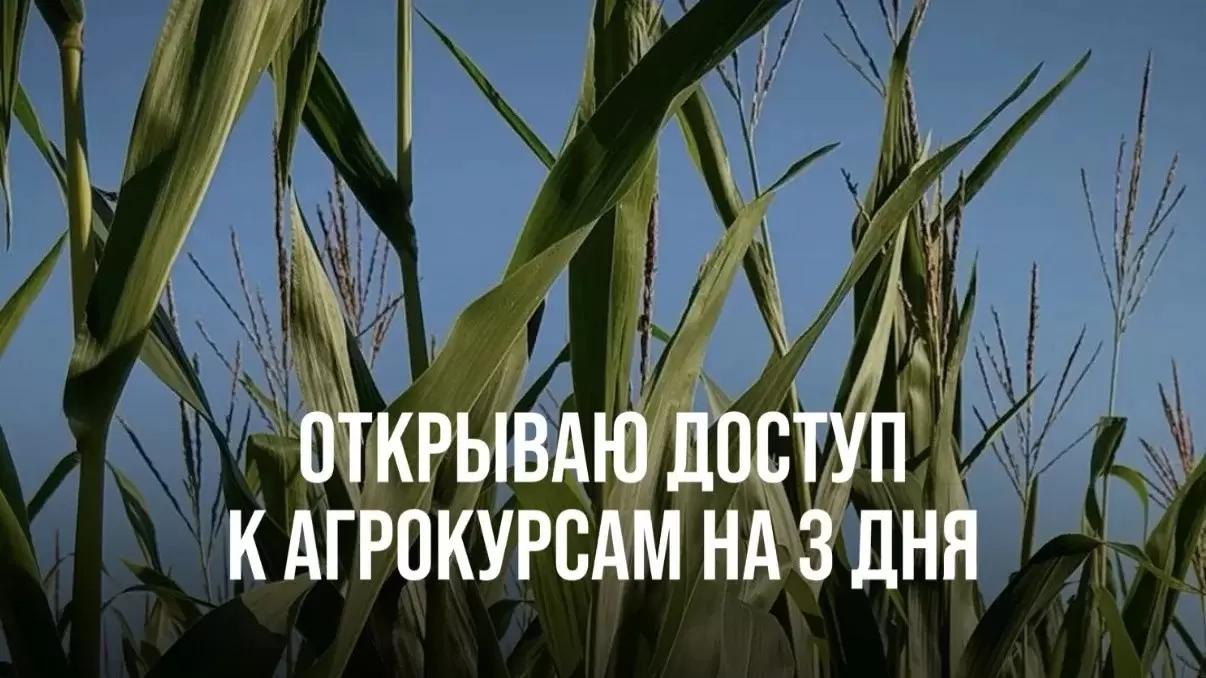 ОТКРЫВАЮ ДОСТУП К АГРОКУРСАМ НА 3 ДНЯ