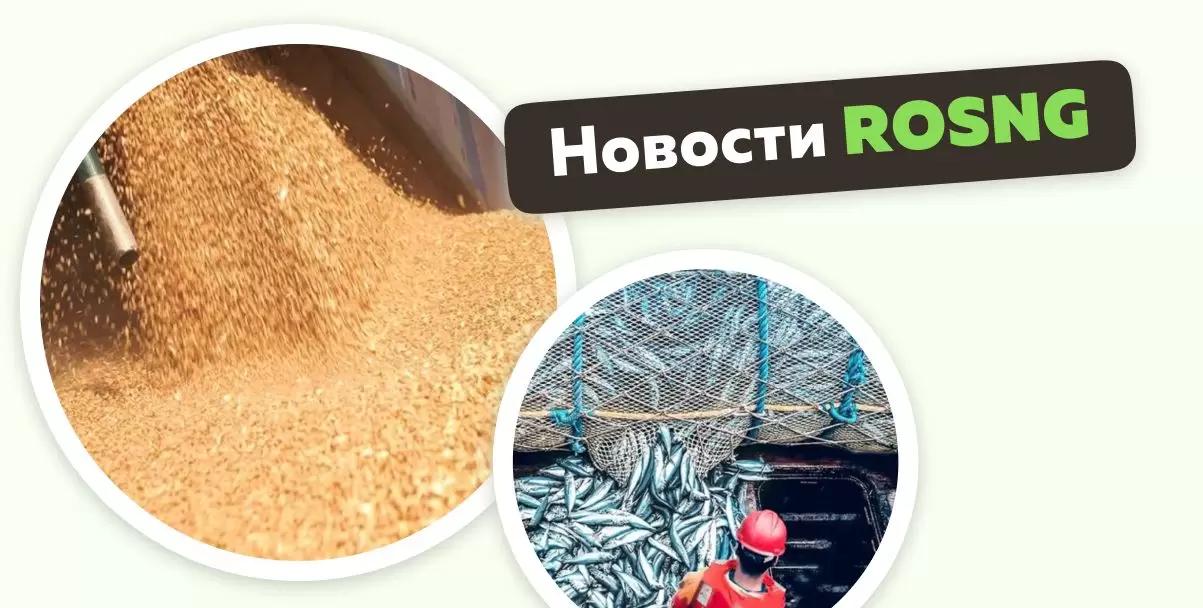 Обзор новостей за 28 декабря