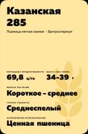 Казанская 285