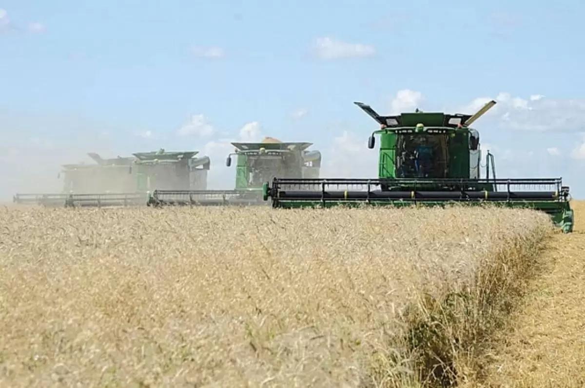 Прогнозы по урожаю зерна продолжают стремительно снижаться