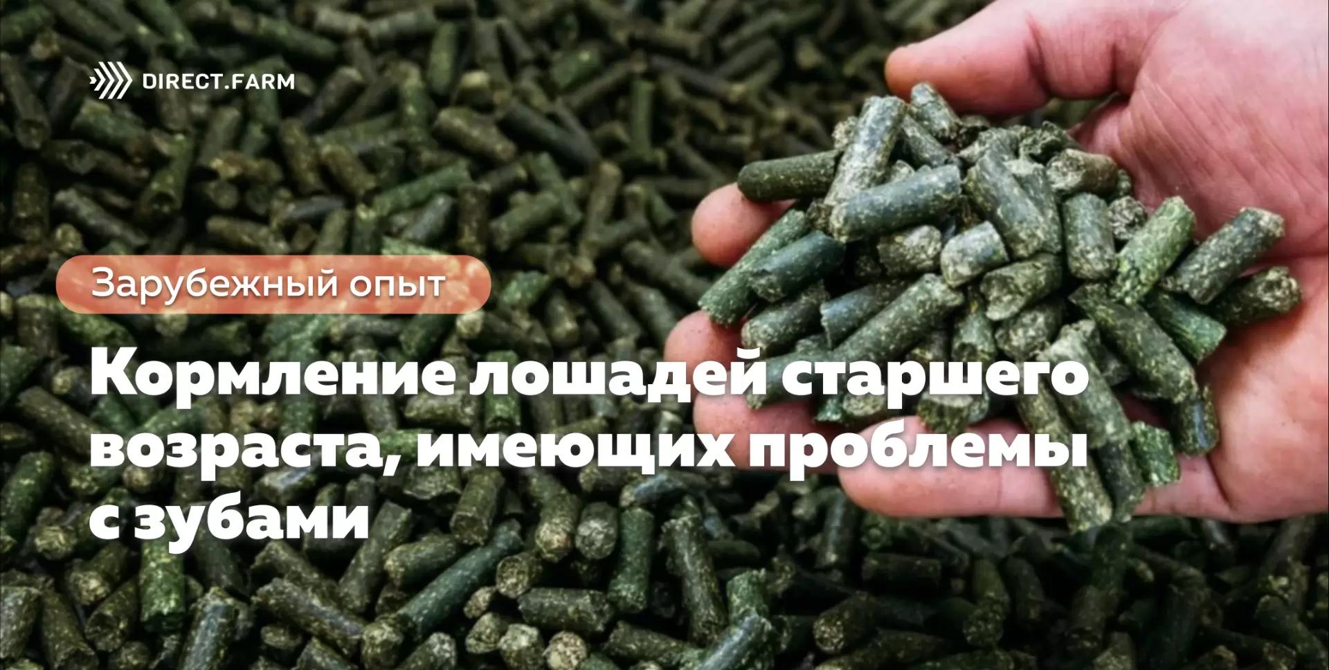 Кормление лошадей старшего возраста, имеющих проблемы с зубами