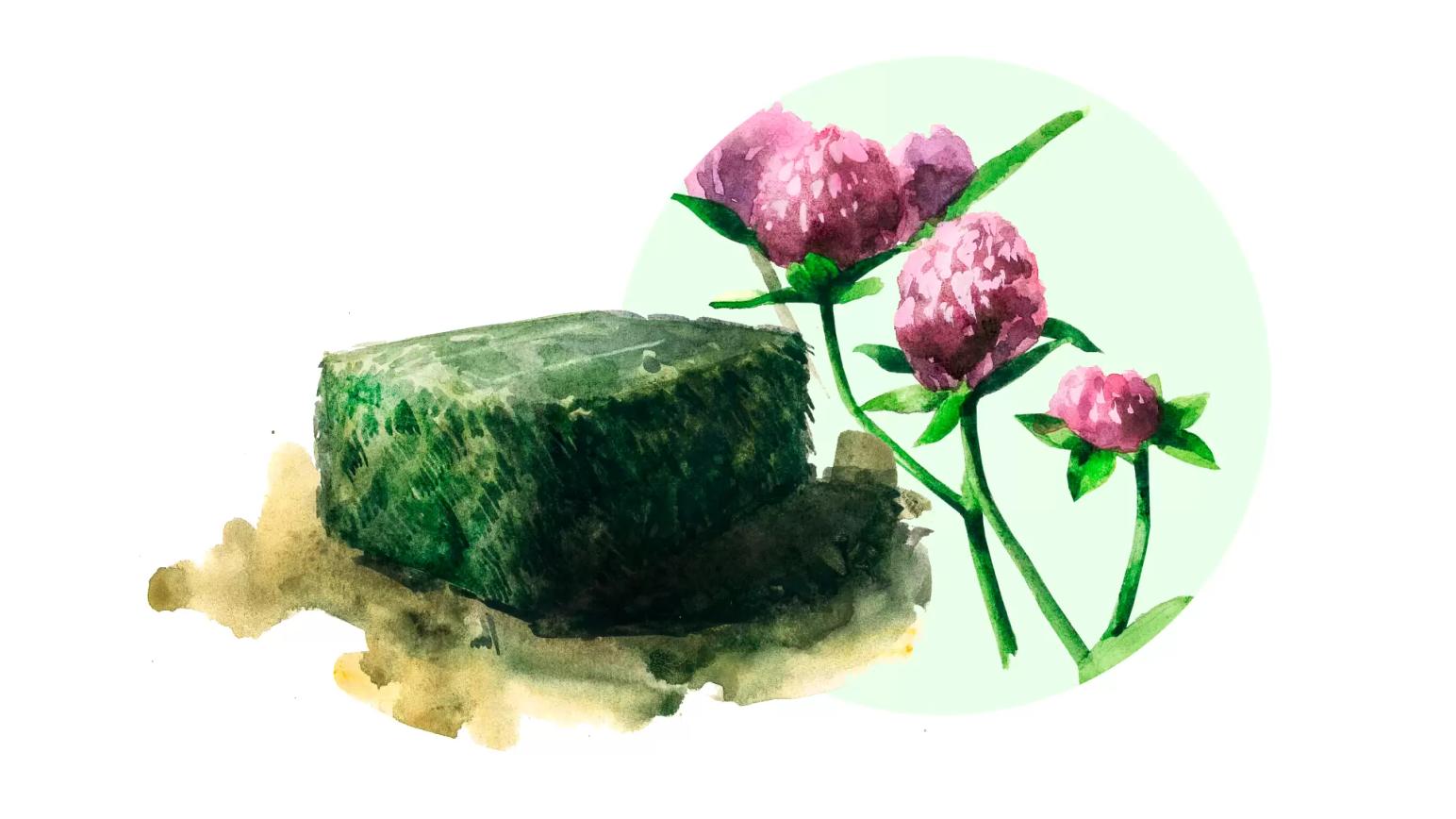 Сено клевера лугового