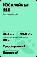Юбилейная 110