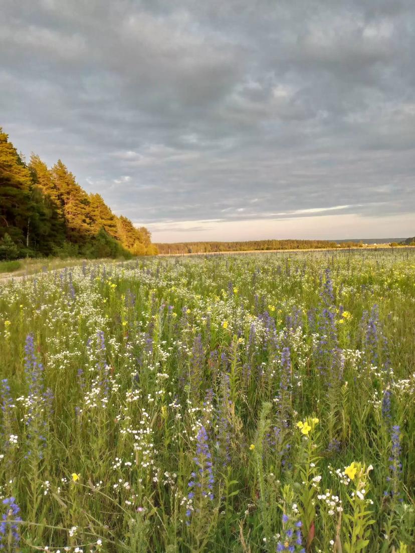 На полях нашей необъятной страны