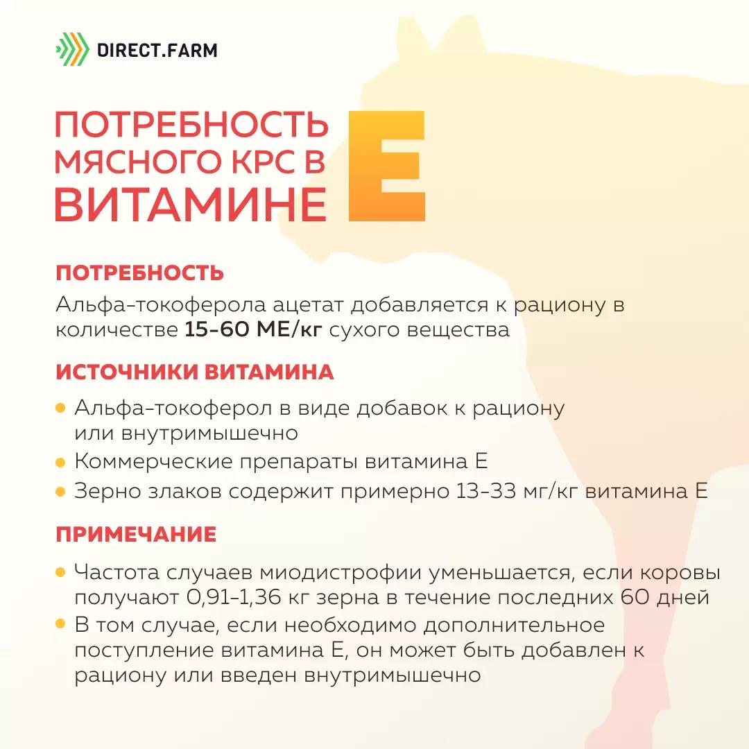 Потребность мясного скота в витамине Е