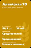 Алтайская 70 сорт мягкой яровой пшеницы