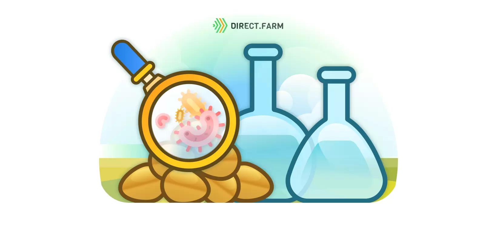 Фитоэкспертиза и протравливание