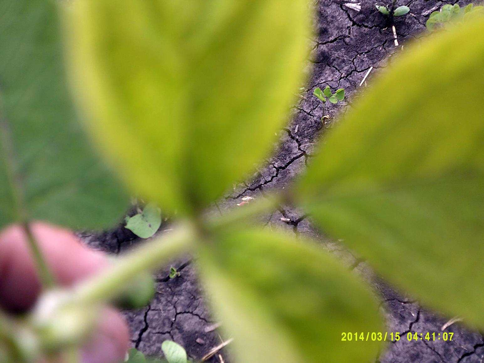 Агромониторинг.