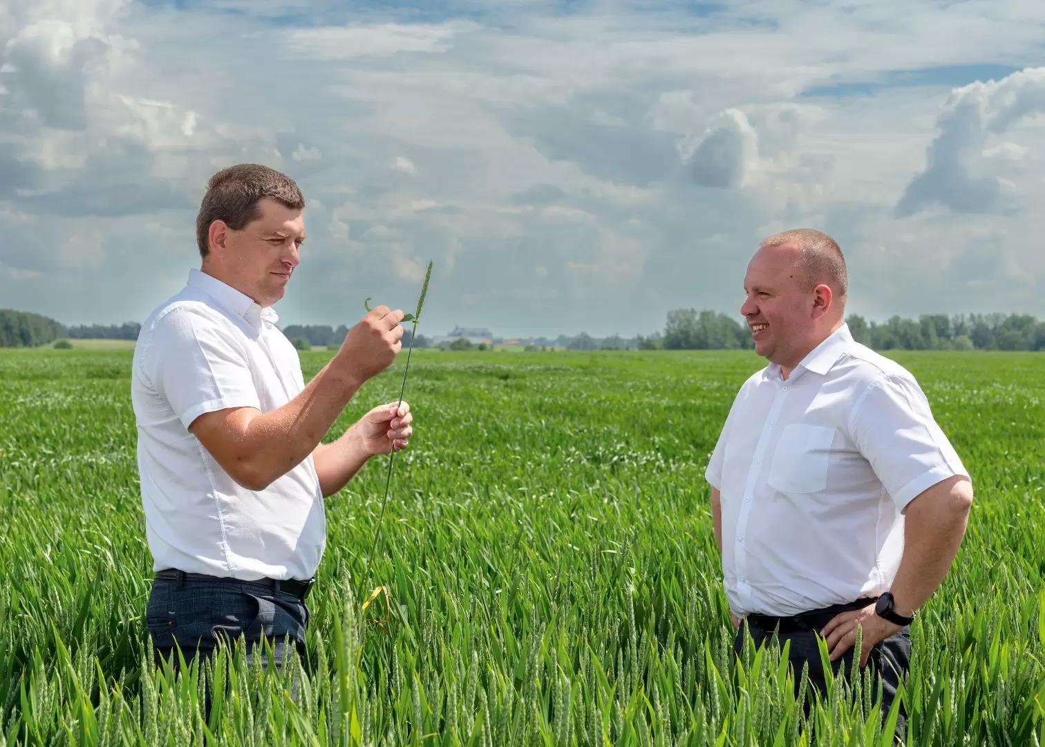 Среди болот, лесов и зубров...