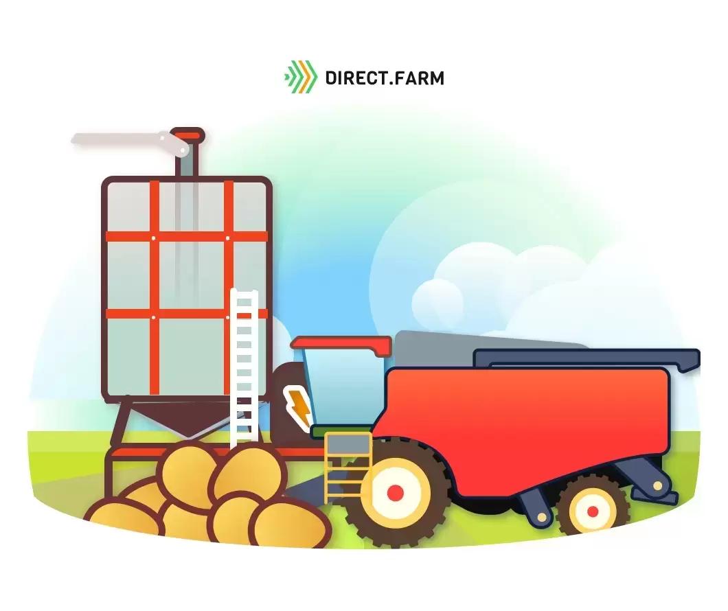 Особенности сушки семян зерновых