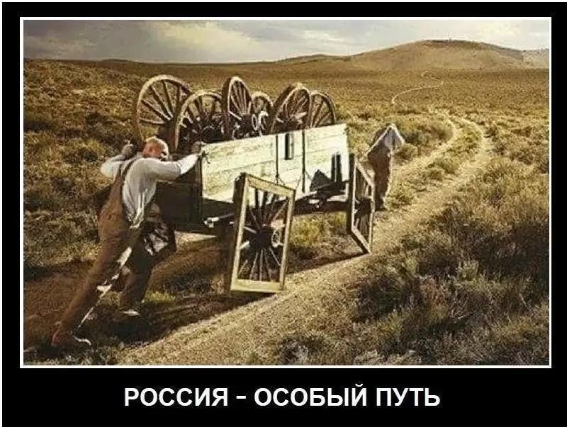 Особый путь сельского хозяйства в России или как жить бедно в богатой стране