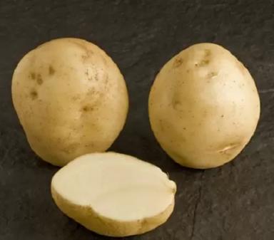 Сатурна - сорт картофеля (Solanum tuberosum L.).