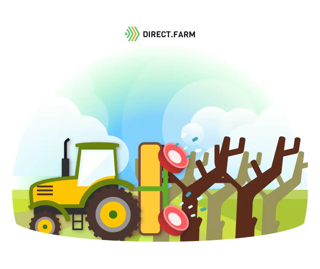 Ранневесеннее опрыскивание яблони по “зеленому конусу”