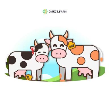 7 признаков идеальной ушной бирки для коров 