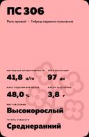ПС 306 (PS 306)