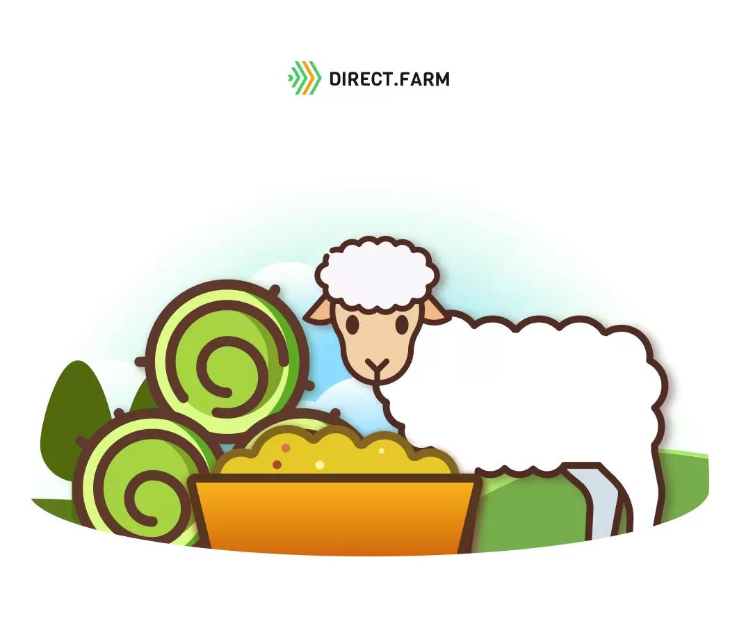 Какую травосмесь на сено для овец использовать во Владимирской области? 