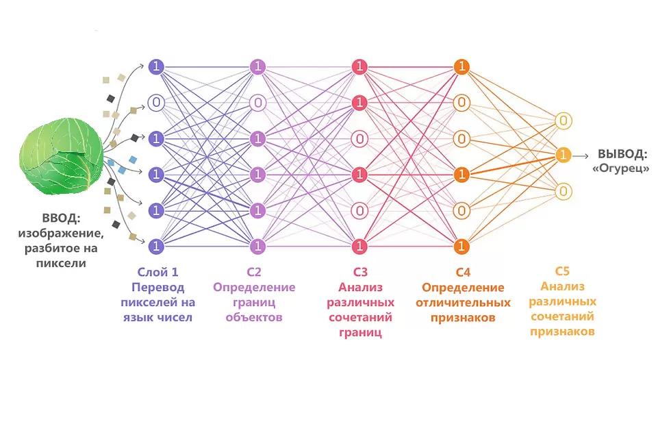 Нейросети в сельском хозяйстве?