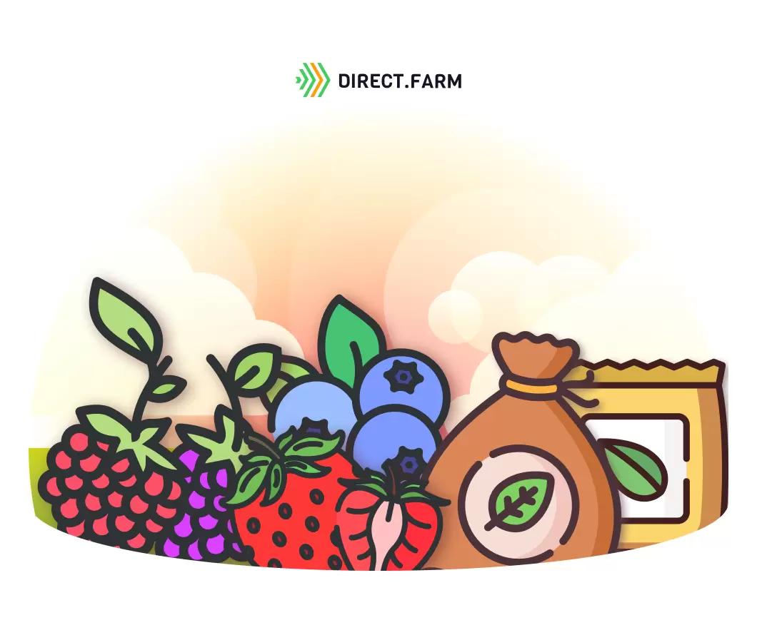 Какие удобрения лучше под ягодные?