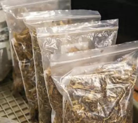 Пересматриваем отбор проб кормов и рационов