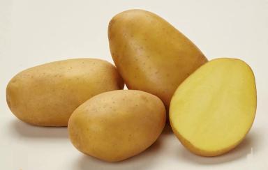 Кроне - сорт картофеля (Solanum tuberosum L.).