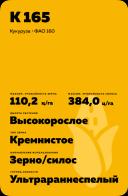 К 165 гибрид кукурузы