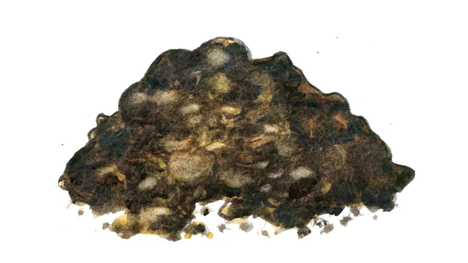 Бесподстилочный навоз