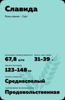 Славида рожь озимая