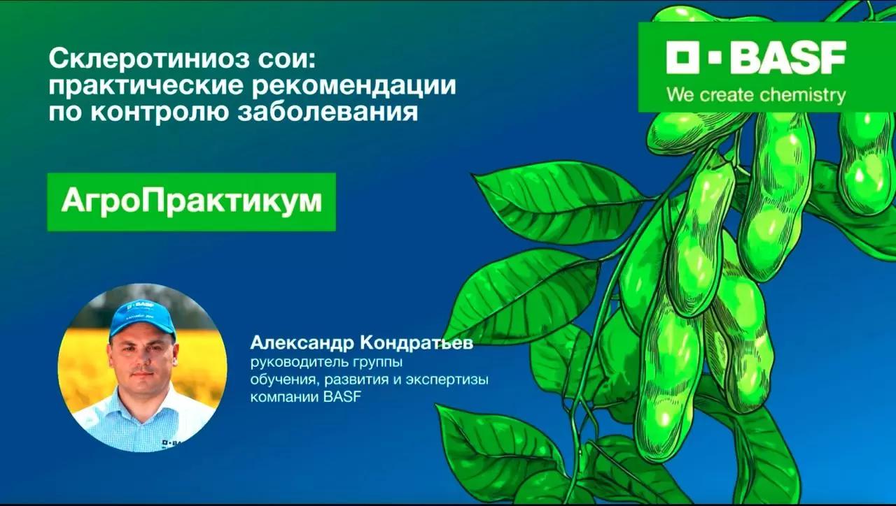 🌱 Склеротиниоз сои: практические рекомендации по контролю заболевания
