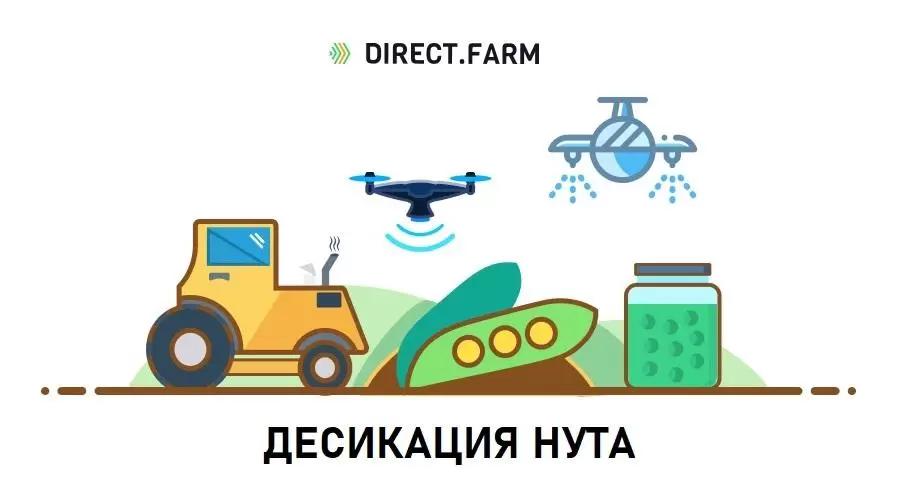 Десикация нута