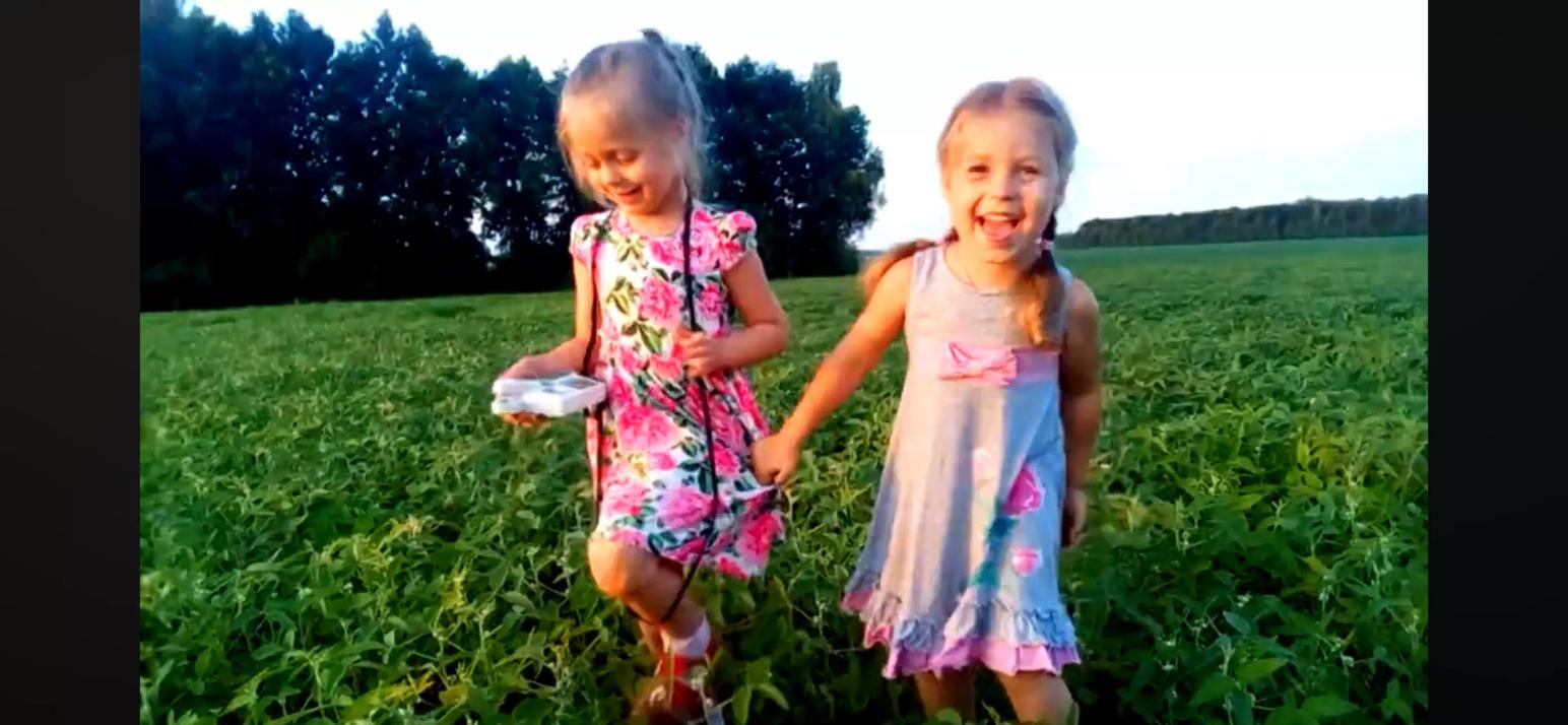 Я делела учет на поле сои. Отвлеклась, а они тоже стали проводить учет.